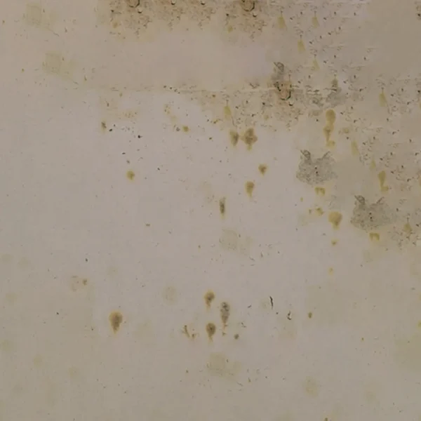 Grunge - Image 4